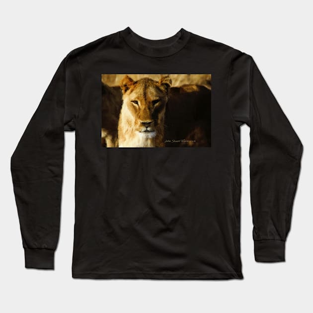 Lioness Long Sleeve T-Shirt by johnwebbstock